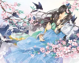 铁牛tv永不翻车小花暖